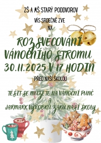 Rozsvícení vánočního stromu