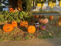 20 let dýňových víkendů ve Starém Poddvorově