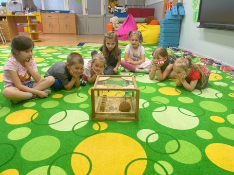 O životě čmeláků